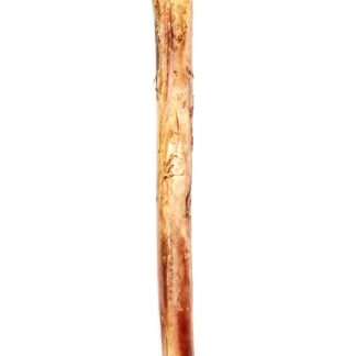 ostrich long bone