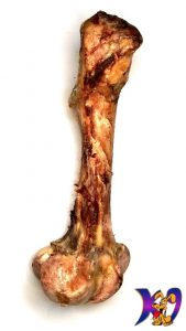 ostrich short bone