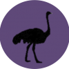 ostrich logo